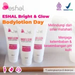 thumb 5 -- ESHAL Bright and Glow